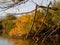 A White Egret Perches on a fallen tree at a riparian lake