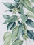 White Elegance: A Photorealistic Watercolor of Eucalyptus and Flowers