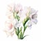 White Elegance: Watercolor Painting Of Gladiolus Flowers