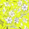 White elegant hand drawn flowers Narcissus, Daffodils on yellow.
