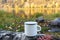 White enamel mug mockup with red leaf