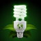 White energy saving light bulb with leafs on black