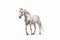 White Equine Majesty: Magnificent Horse in a Blank White Space