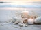 White exotic ornaments, sea star and beach candles on sandy beach against sea or ocean background at the sunrise. Wedding on the