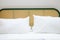 White fabric pillows on a white luxury green bed with rattan headboard interior for home and living achitecture decoration