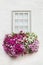 White facade with window and flowers in flower box