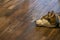 White faced husky dog laying on the wooden floor landscape crop