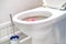 White faience toilet bowl, home toilet, disinfectant flavoring balls on the side of the toilet bowl, the concept of natural human