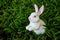 white fake rabbit in the grass