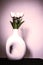 White fake tulips in a white modern bowl, photograph in artistic Stilllife style. tells about pure feelings.