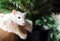 White fancy rat with cute black eyes in warm fluffy house shoe in front of Christmas tree background.