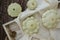 White farm scallop squash, zucchini, pumpkins on a white tablecloth on a brown wooden background 1