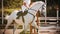 A white fast horse with a rider in the saddle gallops through the arena at a show jumping competition on an autumn sunny day.