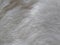 White faux fur. Close-up. Partially defocused photo. Fluffy villi