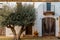 White faÃ§ade and aged wooden doors of a rural house, olive tree at the entrance