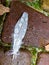 White feather decorated with rain droplets