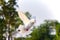 White feather pigeon bird flying mid air against green blur background