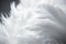 white feathers on the black background, macro photo, soft focus. Generative AI