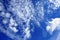 White feathery clouds in blue sky