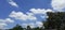 White Feathery Clouds in the Blue Sky above the Green Tree