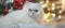 A white Felidae cat with whiskers and fur sits by a Christmas tree