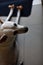 A white female dog is having her training lesson, how to wait for her meal, in a modern house with joy.