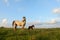 A white female of wild horse gave birth to a young newborn foal horses on a grassy meadow.