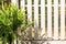 White fence decorated with small palm trees.