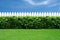 White fence and green grass