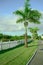 white fence palms and rainbow natural lawn