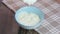 White fermented milk yogurt in a glass bowl