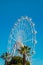 White Ferris wheel