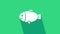 White Fish icon isolated on green background. 4K Video motion graphic animation