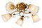 White five-lamp chandelier with a golden base and matte flower-shaped shades