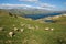 White Flock, Green Valley And Blue Lake