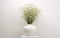 White flower bouquet in white vase on gray interior. Minimalist still life. Light and shadow nature horizontal background