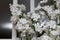 White flower Ikibana on a black background, bouquet in a glass vase, ebony, bouquet