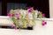 White flower pot with small number of open dark pink Petunia flowers surrounded with mostly dried leaves and closed flowers