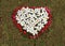 White flower and red flower are arranged heart shape on the grass