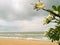 White flower. Wave Of Ocean On Sandy Beach and sunset light after rain Background