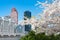 White Flowering Cherry Blossom Trees during Spring at Roosevelt Island with the Upper East Side New York City Skyline