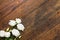 White flowers arranged on aged wooden background