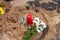 White flowers with candles on the beach sand. Gift for Iemanja the queen of the sea