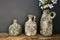 White flowers in concrete rustic pots near dark grey wall, modern design