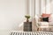 White flowers on glass vase on stylish table next to white sofa with pastel pink and black velvet pillows, copy space on empty