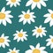 White flowers on a green background. Chamomiles vector illustration. Floral seamless pattern.