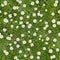 White flowers on the lawn top view seamless texture background