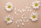 White Flowers petals text studio