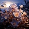 White flowers in the sunset rays, dark background. Flowering flowers, a symbol of spring, new life