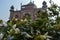 White flowers with view at background of safadarjung tomb memorial at foggy winter morning